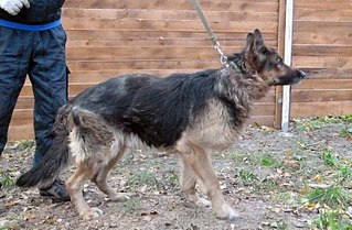 click for enlarge 807 X 529 123.9 Kb picture