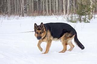 click for enlarge 807 X 538 62.1 Kb picture