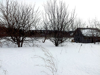 click for enlarge 1024 X 768 289.8 Kb picture