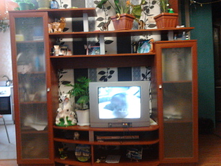 click for enlarge 1920 X 1440 834.7 Kb picture