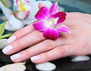 click for enlarge 650 X 503  50.7 Kb picture