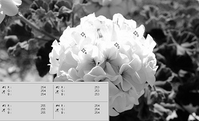 click for enlarge 628 X 382  87.1 Kb picture