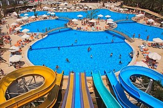 click for enlarge 800 X 533 122.5 Kb picture