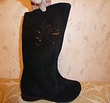 click for enlarge 240 X 224 8.5 Kb picture