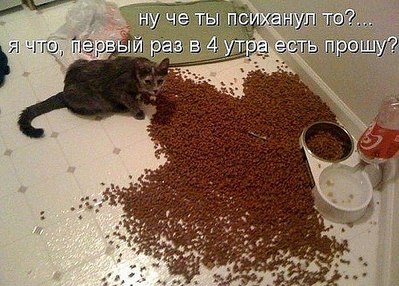 click for enlarge 604 X 433  79.6 Kb picture