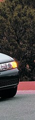 click for enlarge 178 X 600  29.7 Kb picture