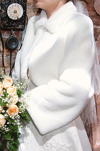click for enlarge 666 X 1000 544.1 Kb picture