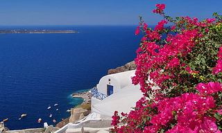 click for enlarge 500 X 300 164.9 Kb picture