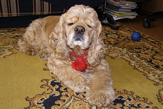 click for enlarge 1920 X 1281 407.3 Kb picture