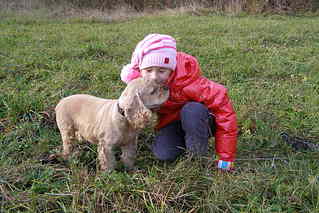 click for enlarge 1920 X 1281 342.8 Kb picture