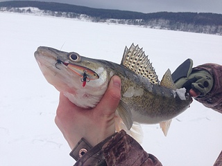 click for enlarge 1024 X 768 229.5 Kb picture