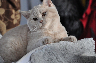 click for enlarge 1920 X 1275 149.9 Kb picture