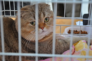 click for enlarge 1920 X 1275 213.5 Kb picture