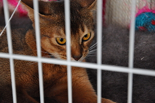 click for enlarge 1920 X 1275 181.7 Kb picture