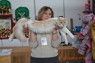 click for enlarge 1920 X 1280 134.3 Kb picture