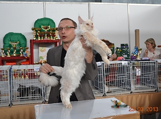 click for enlarge 1920 X 1424 174.8 Kb picture