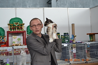 click for enlarge 1920 X 1280 181.7 Kb picture