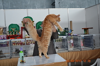 click for enlarge 1920 X 1280 173.4 Kb picture