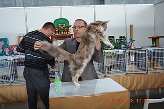 click for enlarge 1920 X 1280 185.3 Kb picture