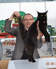 click for enlarge 1920 X 2376 255.0 Kb picture