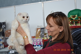 click for enlarge 1920 X 1280 131.6 Kb picture