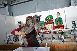 click for enlarge 1920 X 1280 185.8 Kb picture