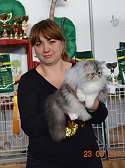 click for enlarge 1920 X 2569 218.1 Kb picture