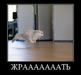 click for enlarge 600 X 555 28.7 Kb picture