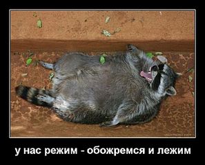 click for enlarge 700 X 564 61.7 Kb picture
