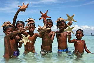 click for enlarge 800 X 533 111.2 Kb picture