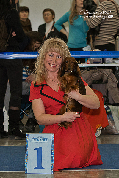 click for enlarge 800 X 1200 788.2 Kb picture