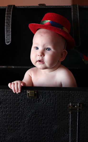 click for enlarge 600 X 974 319.7 Kb picture