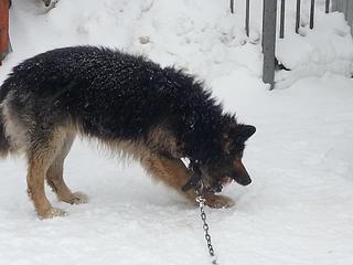 click for enlarge 1920 X 1440 154.3 Kb picture