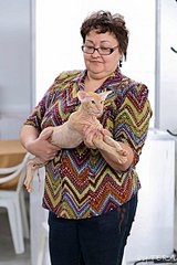 click for enlarge 400 X 600  55.1 Kb picture