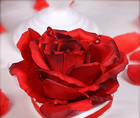 click for enlarge 640 X 542 252.5 Kb picture