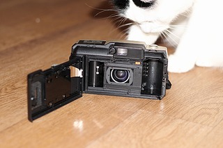 click for enlarge 1200 X 800 167.8 Kb picture