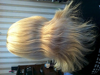 click for enlarge 1920 X 1434 273.2 Kb picture