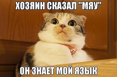 click for enlarge 600 X 396 47.4 Kb picture