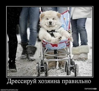 click for enlarge 580 X 537 912.5 Kb picture