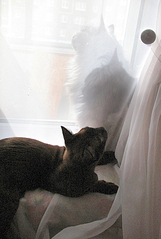 click for enlarge 1205 X 1795 232.9 Kb picture