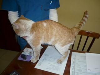 click for enlarge 1920 X 1440 91.7 Kb picture