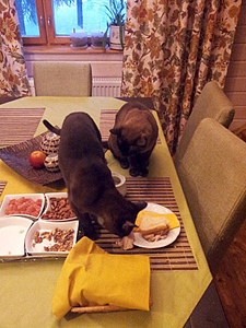 click for enlarge 600 X 800 231.1 Kb picture