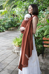 click for enlarge 550 X 825 129.6 Kb picture
