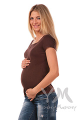 click for enlarge 550 X 825 71.9 Kb picture