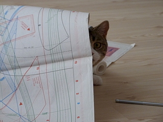 click for enlarge 1920 X 1440 126.5 Kb picture