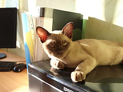click for enlarge 800 X 600 115.1 Kb picture