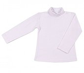 click for enlarge 550 X 481 11.1 Kb picture