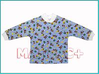 click for enlarge 667 X 500 49.6 Kb picture