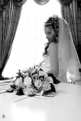 click for enlarge 816 X 1225 224.6 Kb picture