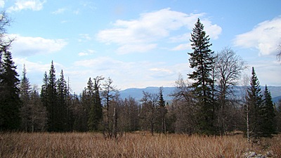 click for enlarge 807 X 454 112.8 Kb picture